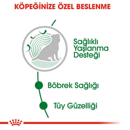 Royal Canin Mini +12 Ageing Pouch Yaşlı Köpek Konservesi 85gr - Thumbnail (3)