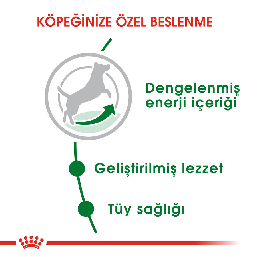 Royal Canin Mini Adult Küçük Irk Yetişkin Köpek Maması 4kg