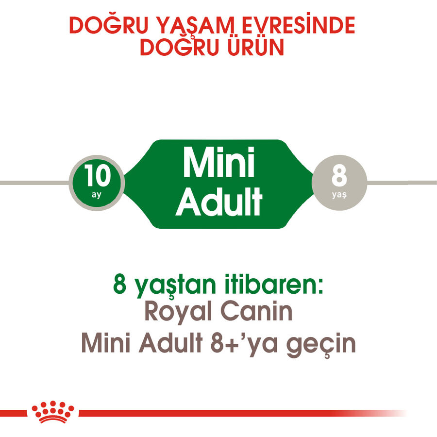 Royal Canin Mini Adult Küçük Irk Yetişkin Köpek Maması 8kg - 4