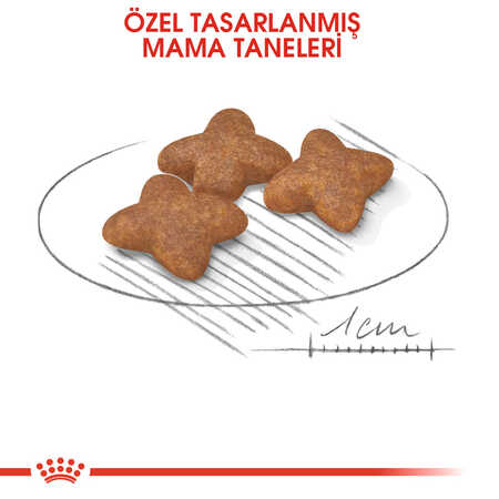 Royal Canin Mini Adult Küçük Irk Yetişkin Köpek Maması 8kg - 5