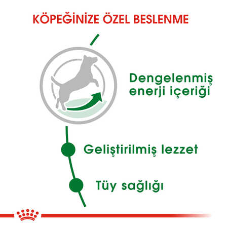 Royal Canin Mini Adult Küçük Irk Yetişkin Köpek Maması 8kg - 8