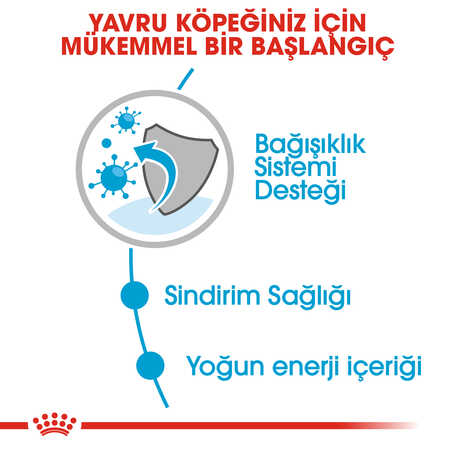 Royal Canin Mini Puppy Küçük Irk Yavru Köpek Konservesi 85gr - Thumbnail (3)