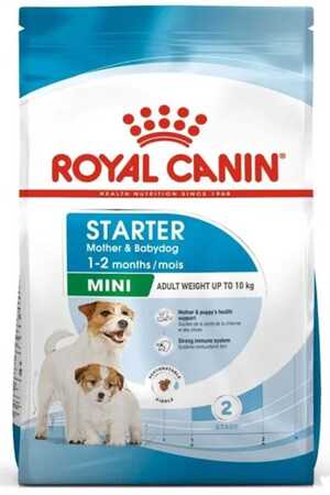 ROYAL CANIN - Royal Canin Mini Starter Köpek Maması 1kg