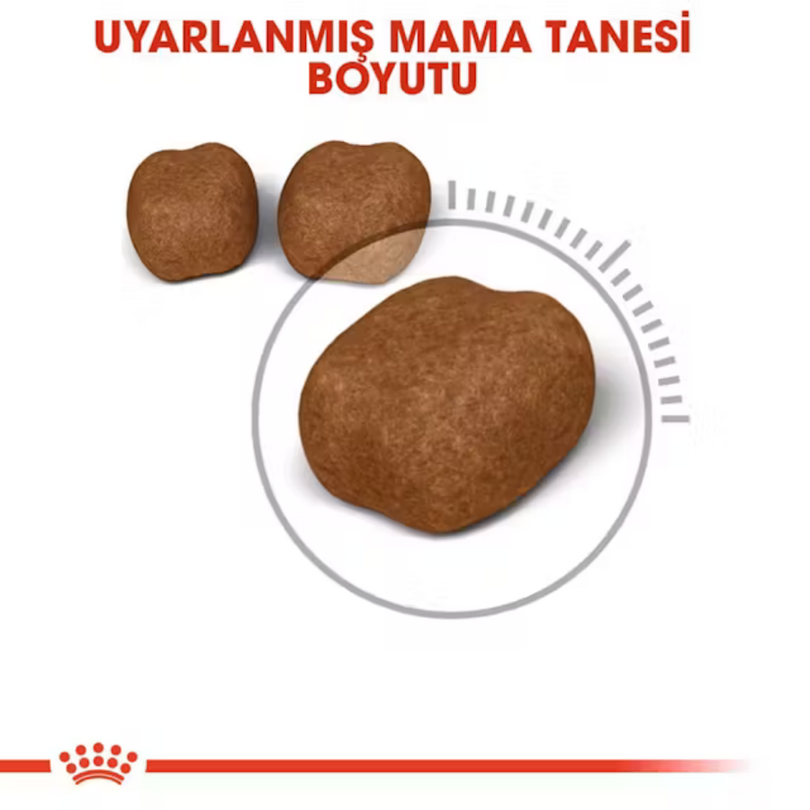Royal Canin Oral Care Ağız ve Diş Sağlığı için Kedi Maması 1,5kg