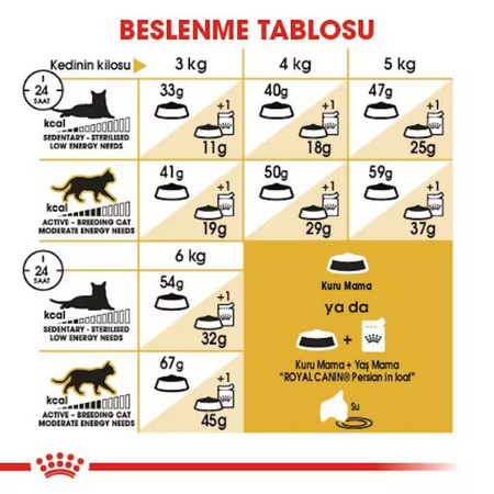 Royal Canin Persian Adult İran Irkı Yetişkin Kedi Maması 10kg - Thumbnail