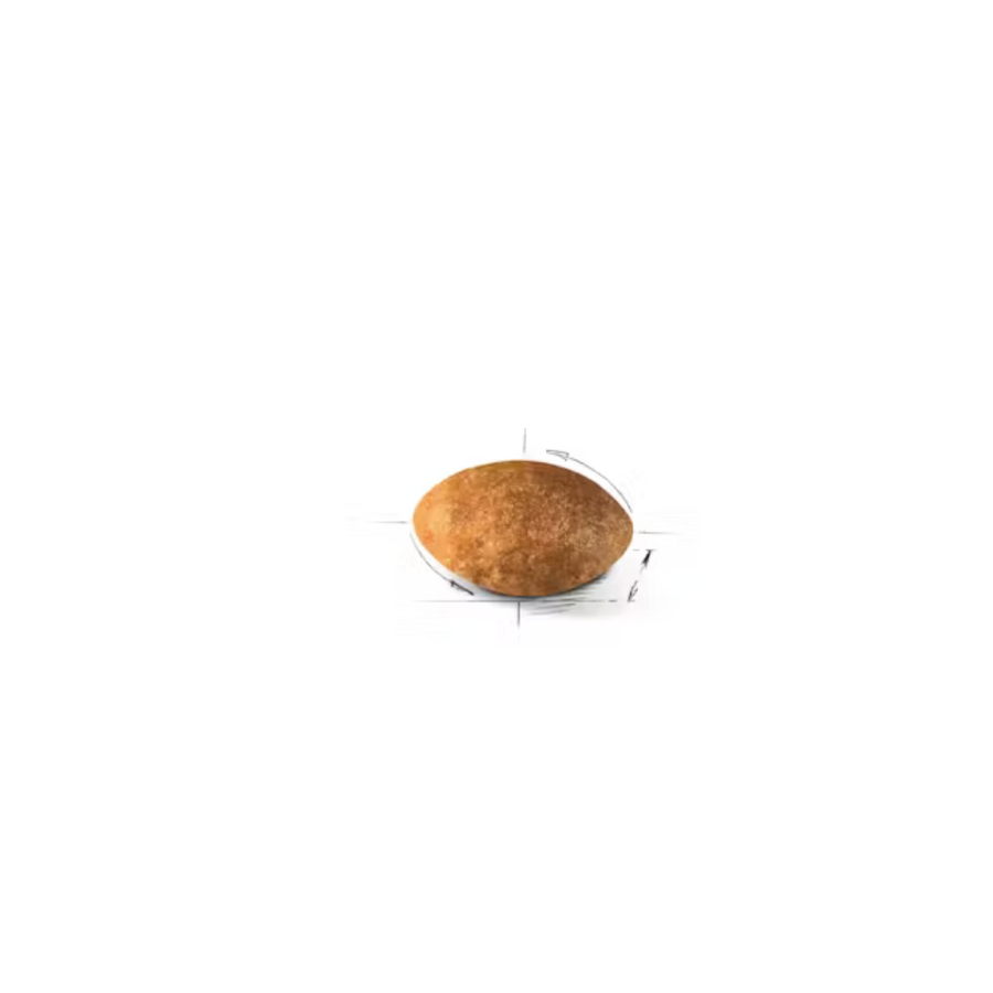 Royal Canin Persian Adult İran Irkı Yetişkin Kedi Maması 10kg
