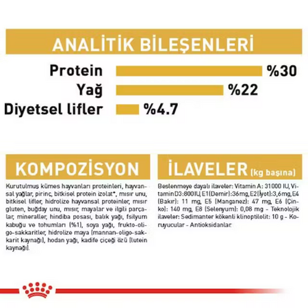 Royal Canin Persian Adult İran Irkı Yetişkin Kedi Maması 10kg - Thumbnail