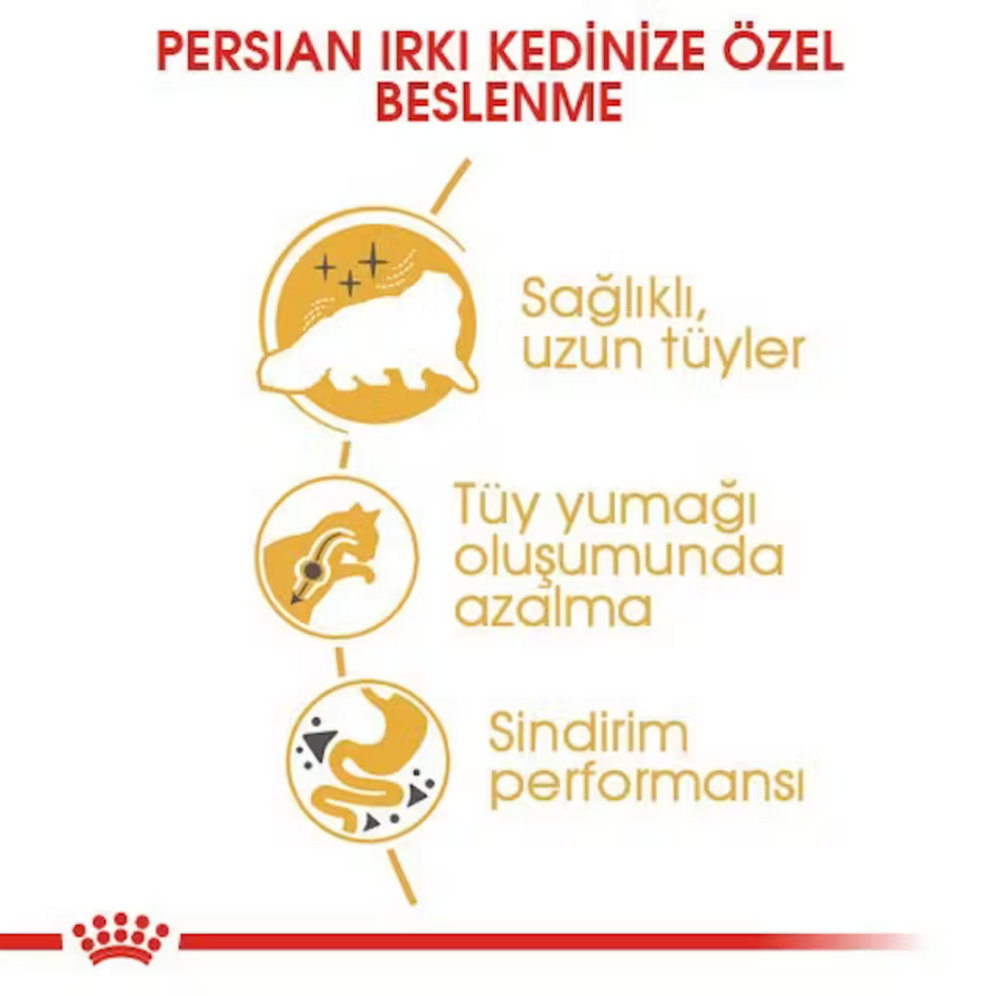 Royal Canin Persian Adult İran Irkı Yetişkin Kedi Maması 10kg