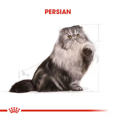 Royal Canin Persian Adult İran Irkı Yetişkin Kedi Maması 10kg - Thumbnail