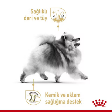 Royal Canin Pomeranian Yetişkin Köpek Konservesi 85gr - Thumbnail (3)