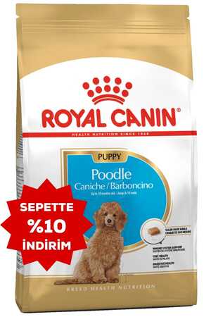 Royal Canin Poodle Irkı Yavru Köpek Maması 3kg
