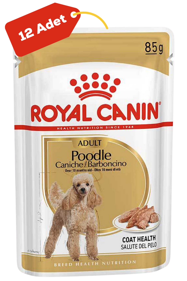 Royal Canin Poodle Irkı Yetişkin Köpek Konservesi 12x85 gr (12li)