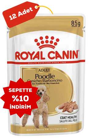 Royal Canin Poodle Irkı Yetişkin Köpek Konservesi 12x85 gr (12li) - Thumbnail