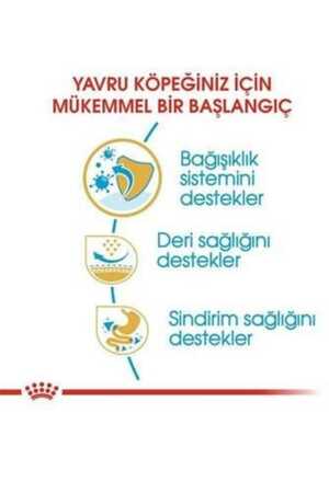 Royal Canin Pug Puppy Yavru Köpek Maması 1,5kg - Thumbnail (2)