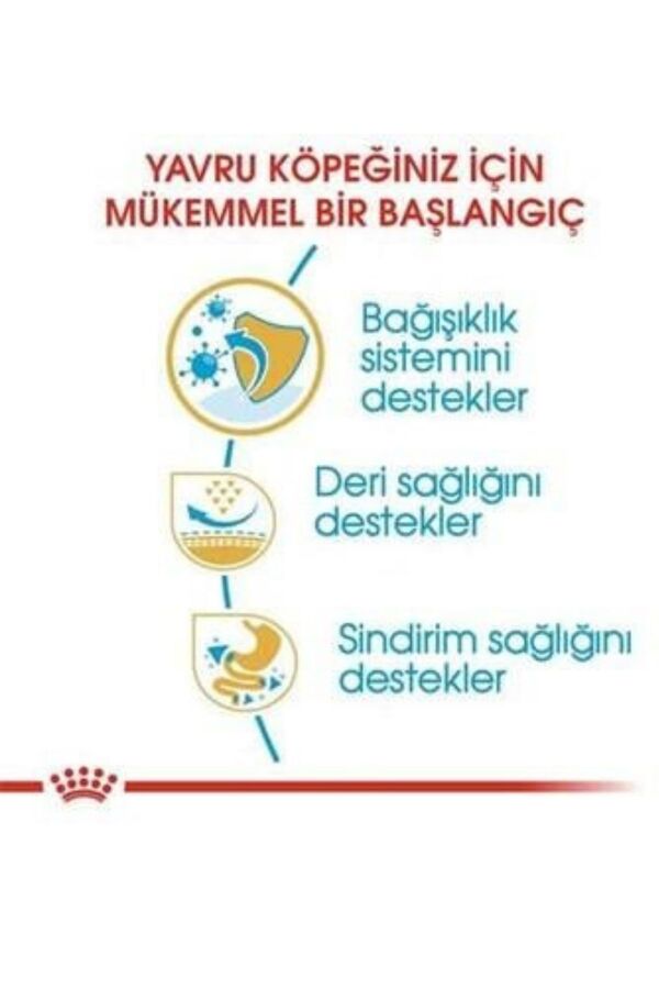 Royal Canin Pug Puppy Yavru Köpek Maması 1,5kg