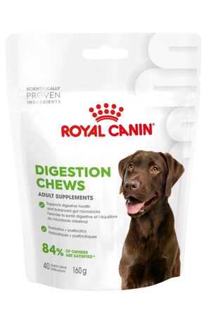 ROYAL CANIN - Royal Canin Sindirim Sistemini Destekleyen Tamamlayıcı Yetişkin Köpek Ödül Maması 160gr
