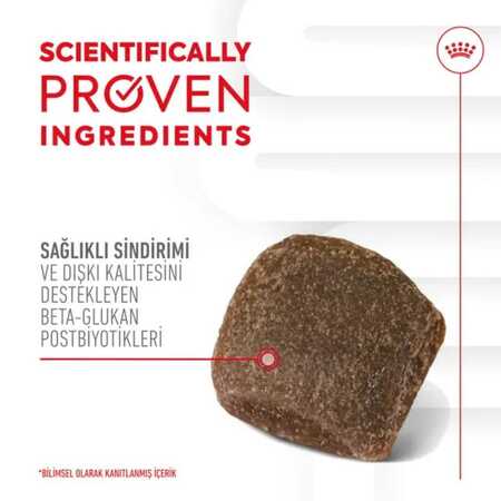 Royal Canin Sindirim Sistemini Destekleyen Tamamlayıcı Yetişkin Köpek Ödül Maması 160gr - Thumbnail