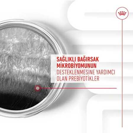 Royal Canin Sindirim Sistemini Destekleyen Tamamlayıcı Yetişkin Köpek Ödül Maması 160gr - Thumbnail (3)