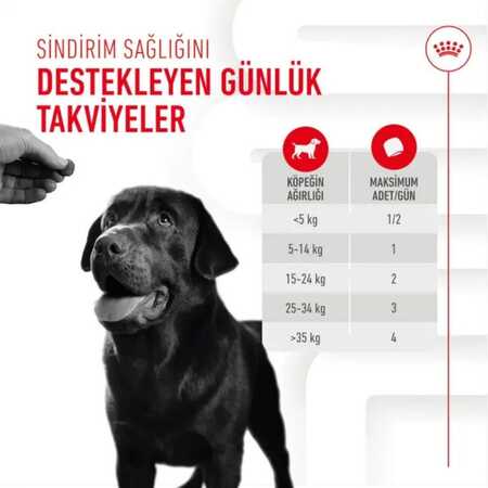 Royal Canin Sindirim Sistemini Destekleyen Tamamlayıcı Yetişkin Köpek Ödül Maması 160gr - Thumbnail