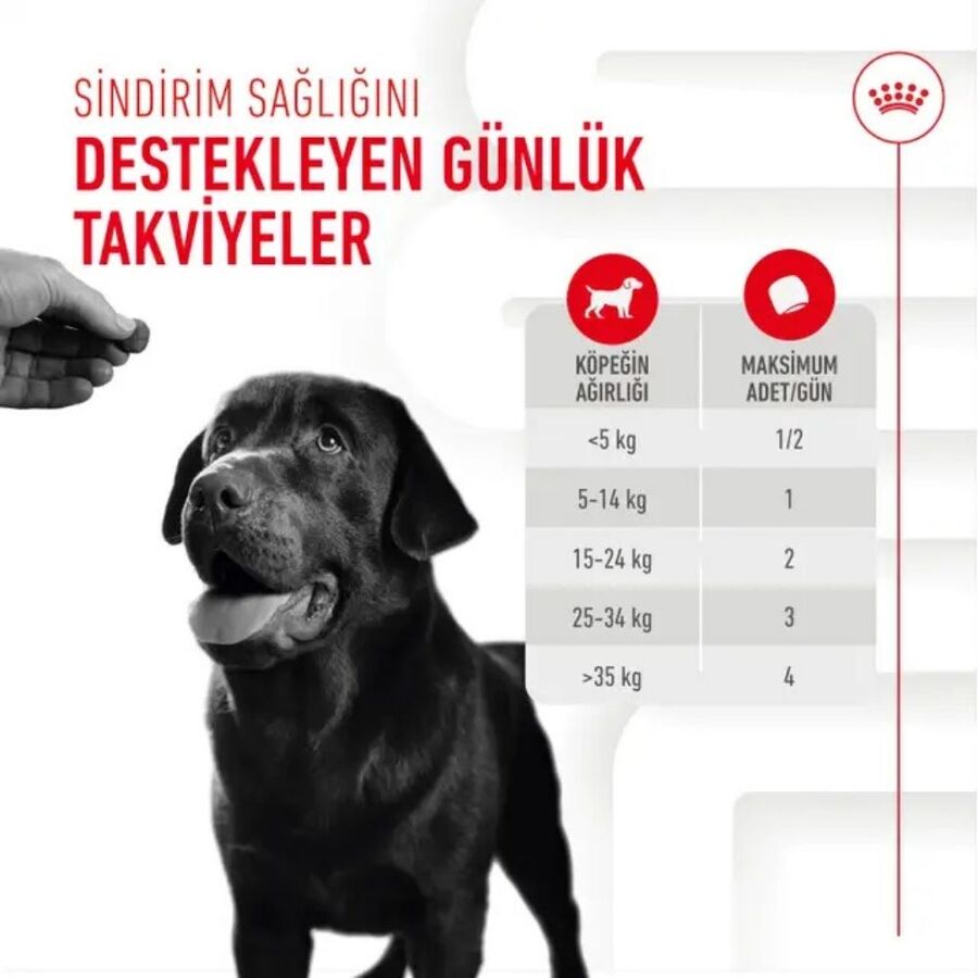 Royal Canin Sindirim Sistemini Destekleyen Tamamlayıcı Yetişkin Köpek Ödül Maması 160gr
