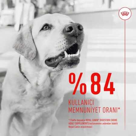 Royal Canin Sindirim Sistemini Destekleyen Tamamlayıcı Yetişkin Köpek Ödül Maması 160gr - Thumbnail