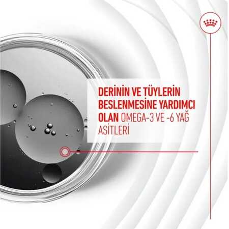 Royal Canin Deri ve Tüy Sağlığı Destekleyici Köpek Ödülü 240gr - Thumbnail (3)