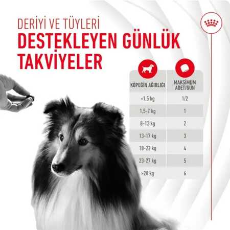 Royal Canin Deri ve Tüy Sağlığı Destekleyici Köpek Ödülü 240gr - Thumbnail