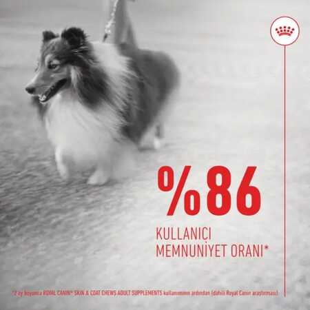 Royal Canin Deri ve Tüy Sağlığı Destekleyici Köpek Ödülü 240gr - Thumbnail