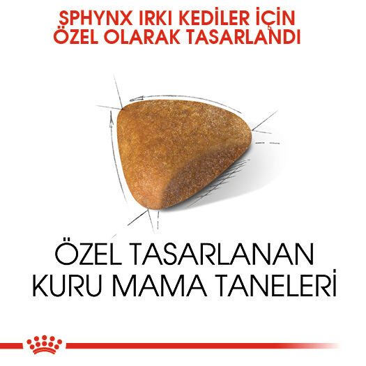Royal Canin Sphynx Sfenks Irkı Yetişkin Kedi Maması 2kg