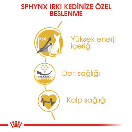 Royal Canin Sphynx Sfenks Irkı Yetişkin Kedi Maması 2kg - Thumbnail