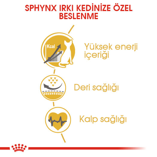 Royal Canin Sphynx Sfenks Irkı Yetişkin Kedi Maması 2kg