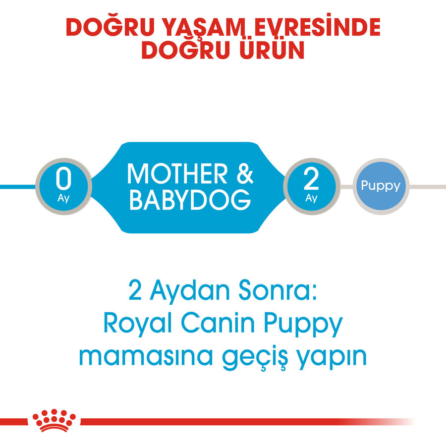 Royal Canin Starter Mousse Mother Babydog 12x195gr 12li Royal Canin Starter Mousse Mother Babydog 12x195gr 12li