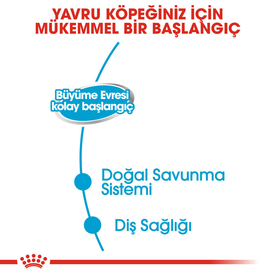 Royal Canin Starter Mousse Mother Babydog 12x195gr 12li Royal Canin Starter Mousse Mother Babydog 12x195gr 12li