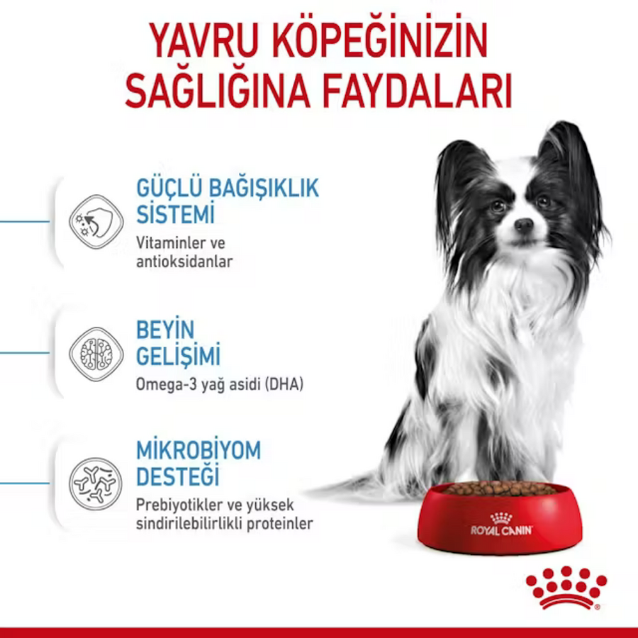 Royal Canin X-Small Küçük Irk Yavru Köpek Maması 3kg
