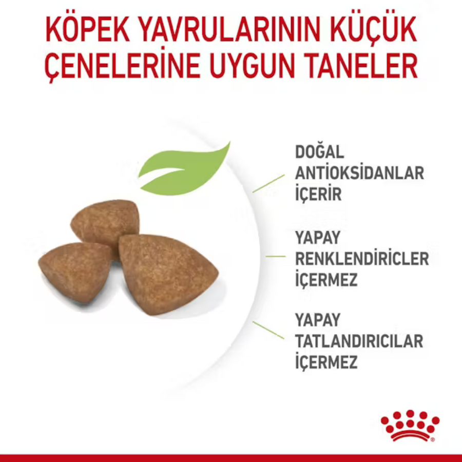 Royal Canin X-Small Küçük Irk Yavru Köpek Maması 3kg