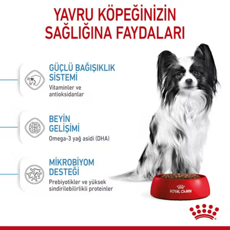 Royal Canin X-Small Küçük Irk Yavru Köpek Maması 3kg - Thumbnail