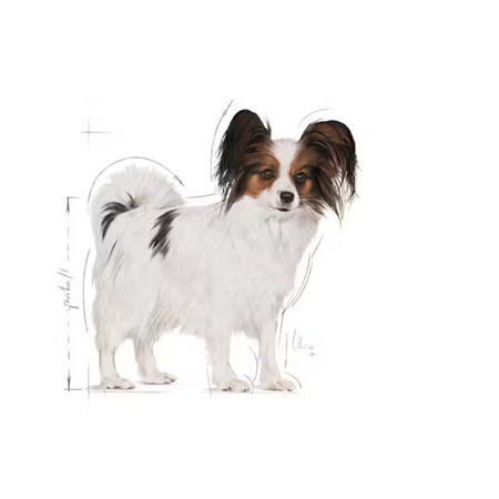 Royal Canin X-Small Küçük Irk Yetişkin Köpek Maması 3kg - Thumbnail