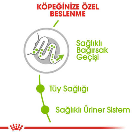 Royal Canin XSmall Küçük Irk Yetişkin Köpek Maması 1,5kg - Thumbnail