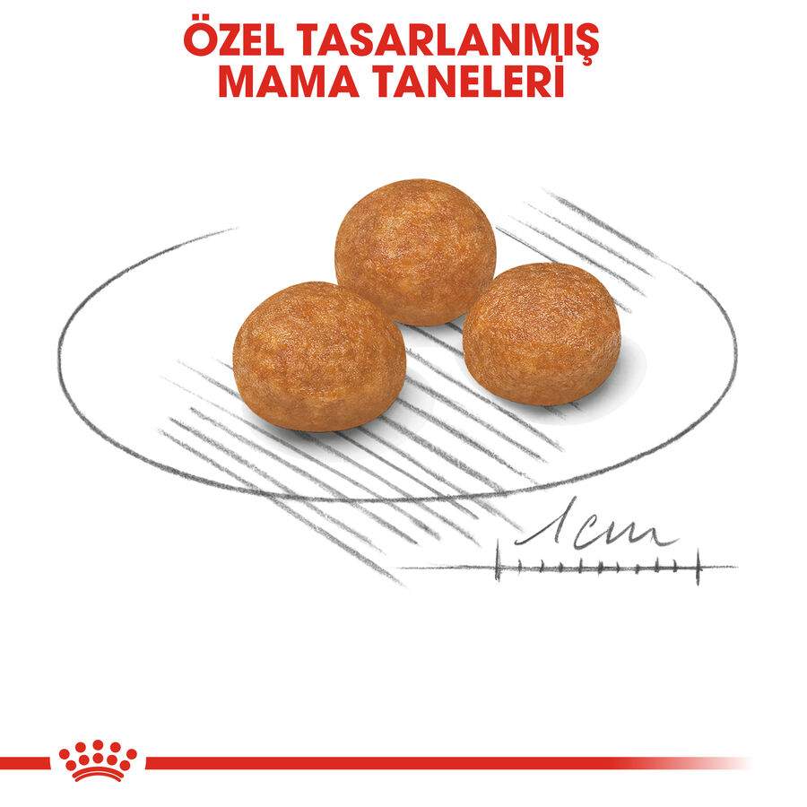 Royal Canin XSmall Küçük Irk Yetişkin Köpek Maması 1,5kg