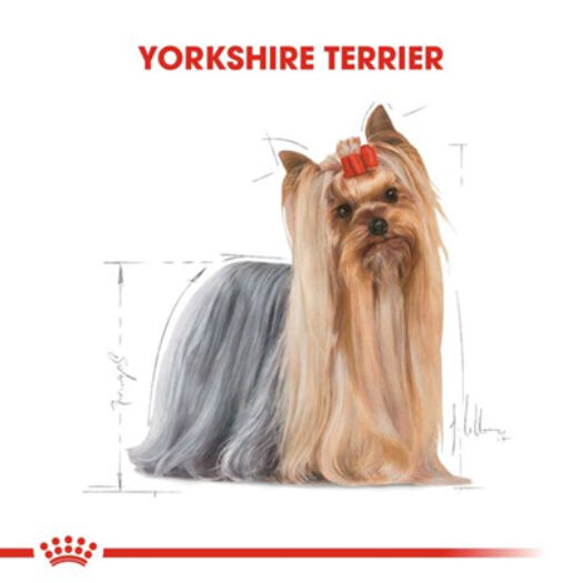 Royal Canin Yorkshire Terrier Yetişkin Köpek Konservesi 85gr
