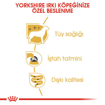 Royal Canin Yorkshire Terrier Yetişkin Köpek Konservesi 12x85gr (12'li) - Thumbnail
