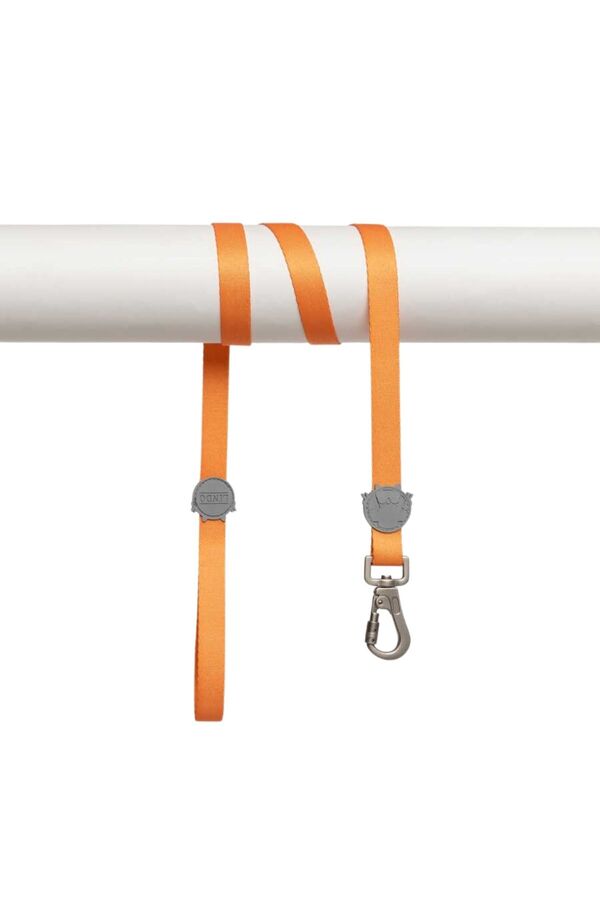 Lindo Royal Gezdirme Kayışı M