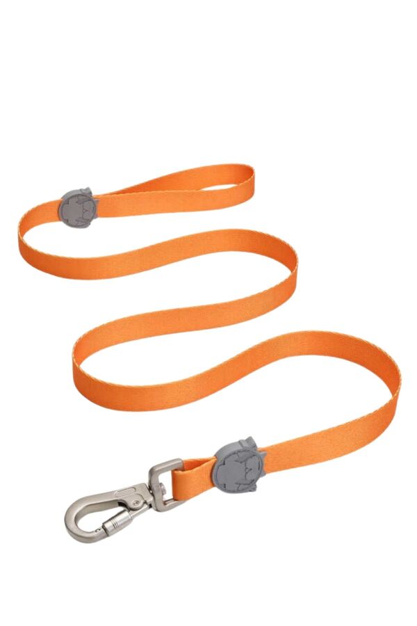 Lindo Royal Gezdirme Kayışı S