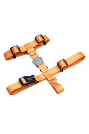 LINDO - Lindo Royal H Tipi Göğüs Tasması L