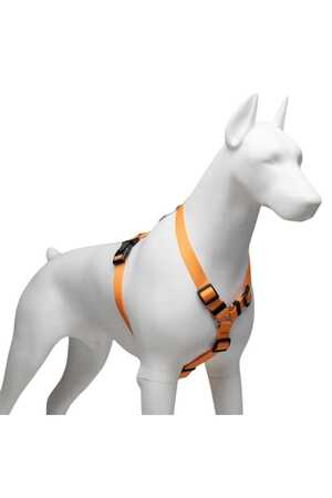 Lindo Royal H Tipi Göğüs Tasması M - Thumbnail (3)