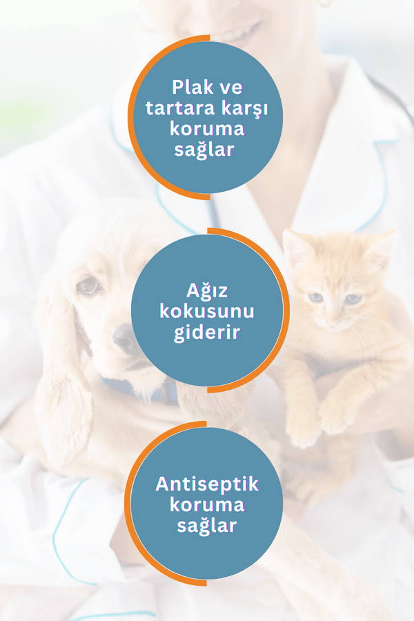 SmartPet + Oral and Dental Care Kedi ve Köpekler için Ağız ve Diş Bakım Ürünü 250ml