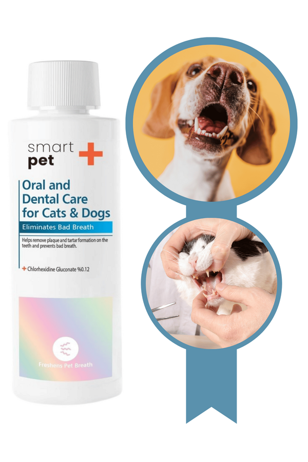 SmartPet + Oral and Dental Care Kedi ve Köpekler için Ağız ve Diş Bakım Ürünü 250ml