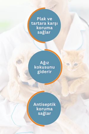SmartPet + Oral and Dental Care Kedi ve Köpekler için Ağız ve Diş Bakım Ürünü 250ml - Thumbnail