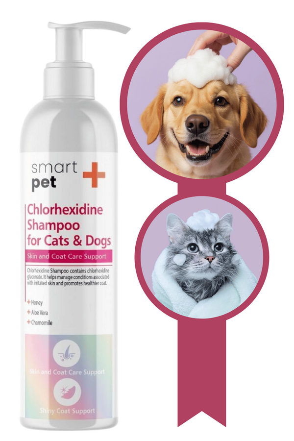 SmartPet + Clorhexidine Kedi ve Köpekler için Kaşıntı ve Tahriş Giderici Şampuan 250ml SmartPet + Clorhexidine Kedi ve Köpekler için Kaşıntı ve Tahriş Giderici Şampuan 250ml