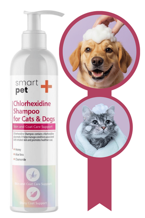 SmartPet + Clorhexidine Kedi ve Köpekler için Kaşıntı ve Tahriş Giderici Şampuan 250ml - Thumbnail